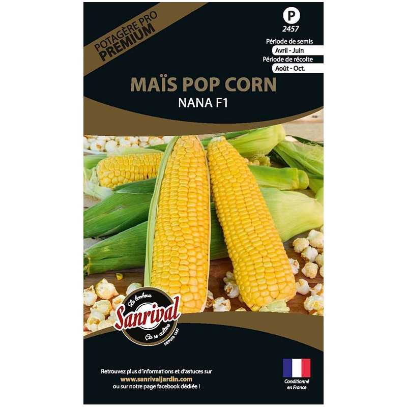 Graines de Maïs Pop Corn nana f1