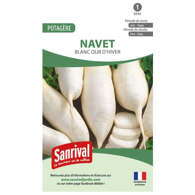 Graines de Navet Blanc dur d'hiver