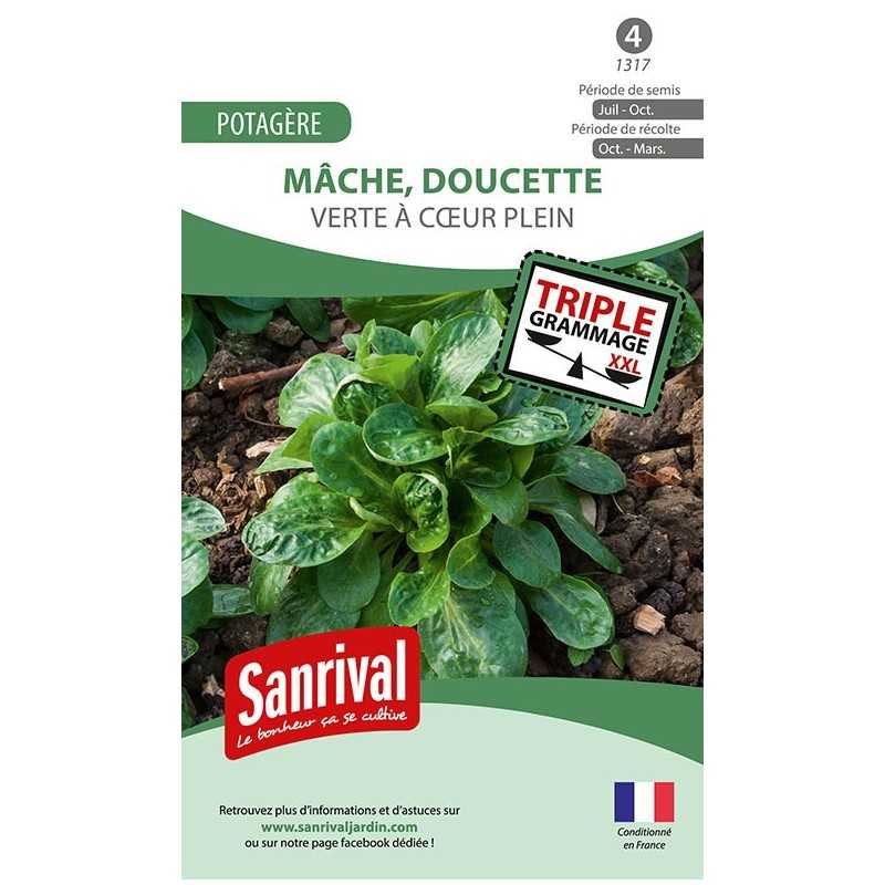graines de Mâche Verte à coeur plein (doucette) graines de Mâche Verte à coeur plein (doucette)