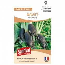 Graines de Navet noir long