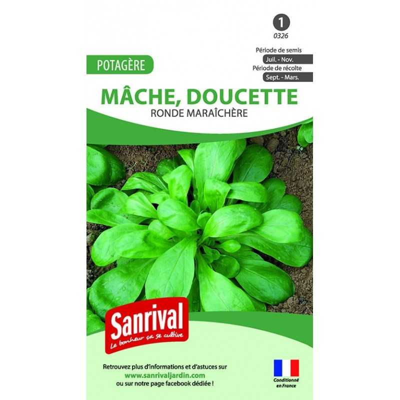 Graines de Mâche Ronde maraichère (doucette)