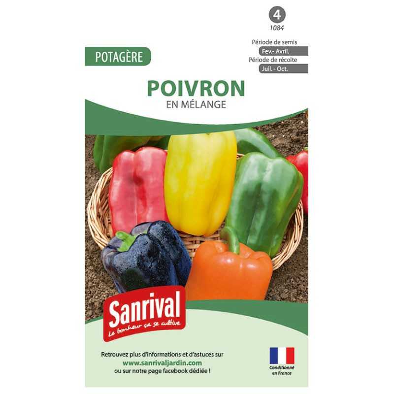 Poivron - Mélange de 5 couleurs achats avantageux sur