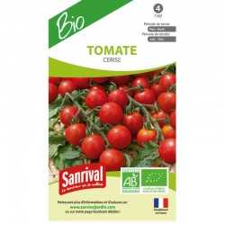 Graines de tomate cerise bio