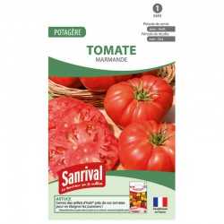 Graines de tomate Marmande