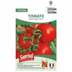 Graines de tomate Montfavet