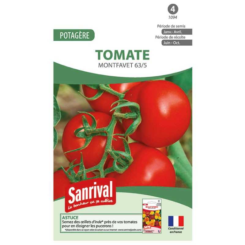 Graines de tomate Montfavet