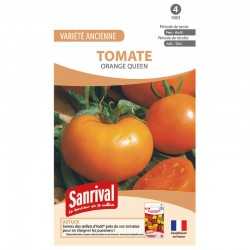 Graines de tomate Orange Queen