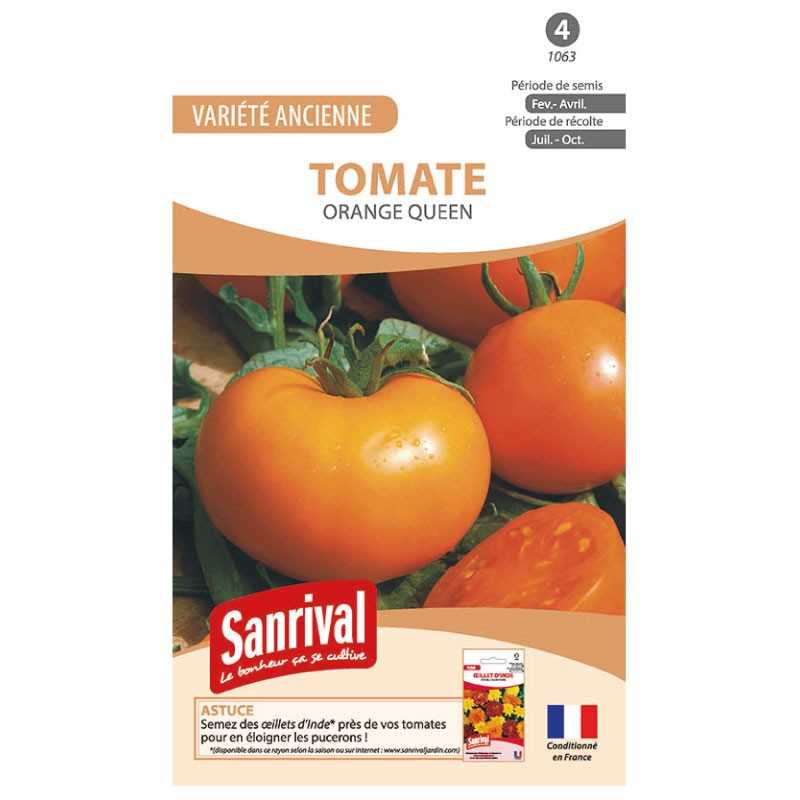 Graines de tomate Orange Queen