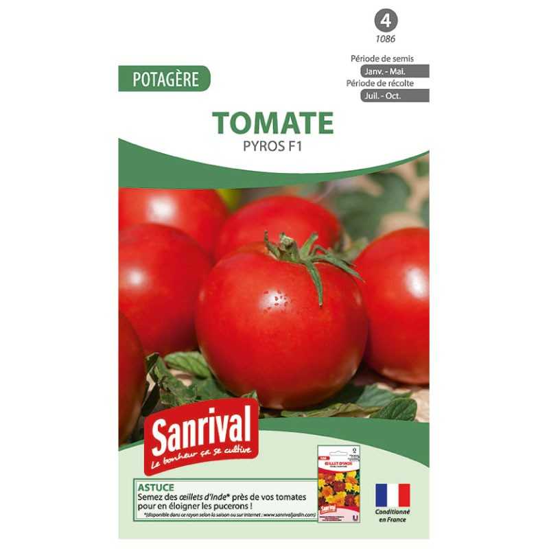 Graines de tomate Pyros F1