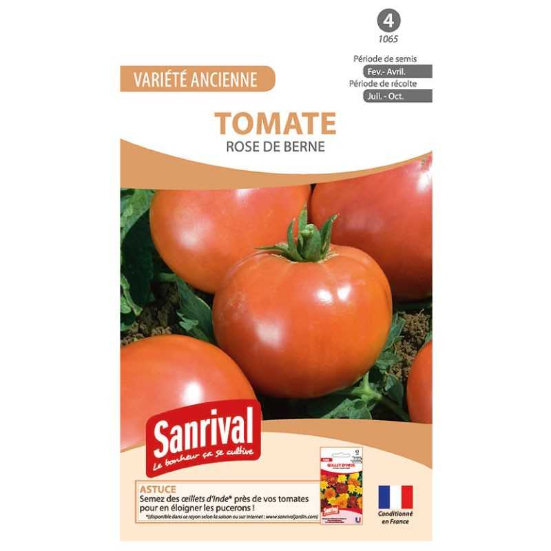 Graines de tomate Rose de Berne