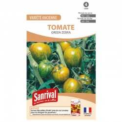 Graines de tomate Green Zebra