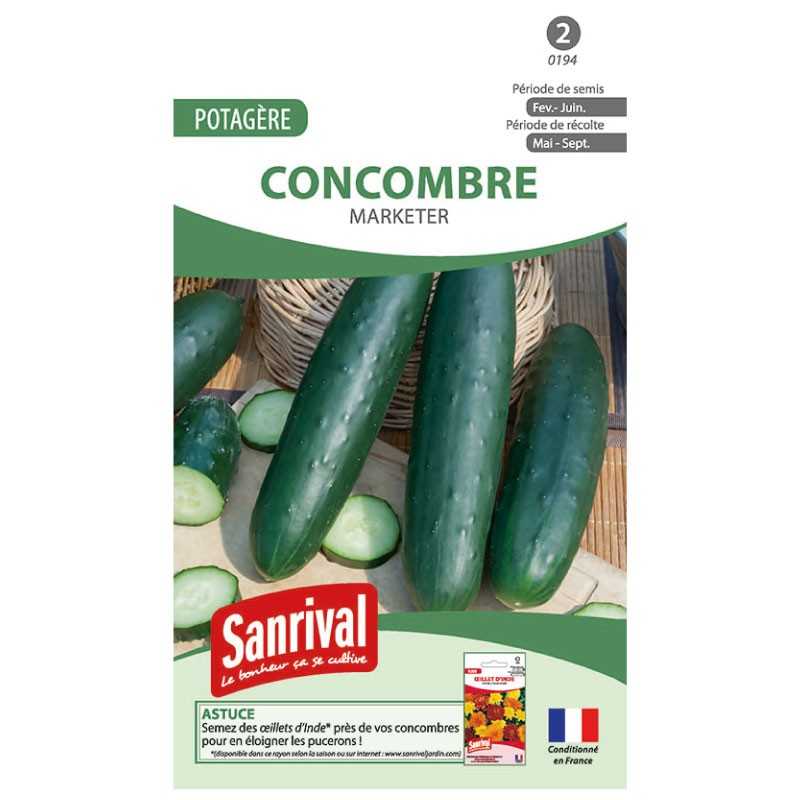 graines de Concombre long Marketer