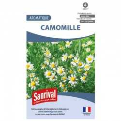 Graines de Camomille