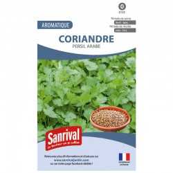 Graines de Coriandre