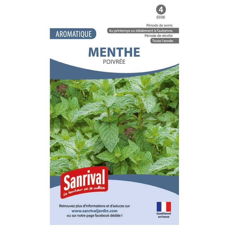 Graines de Menthe Poivrée