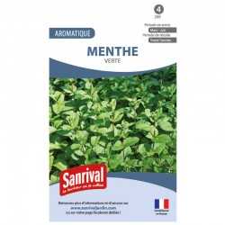 Graines de Menthe Verte