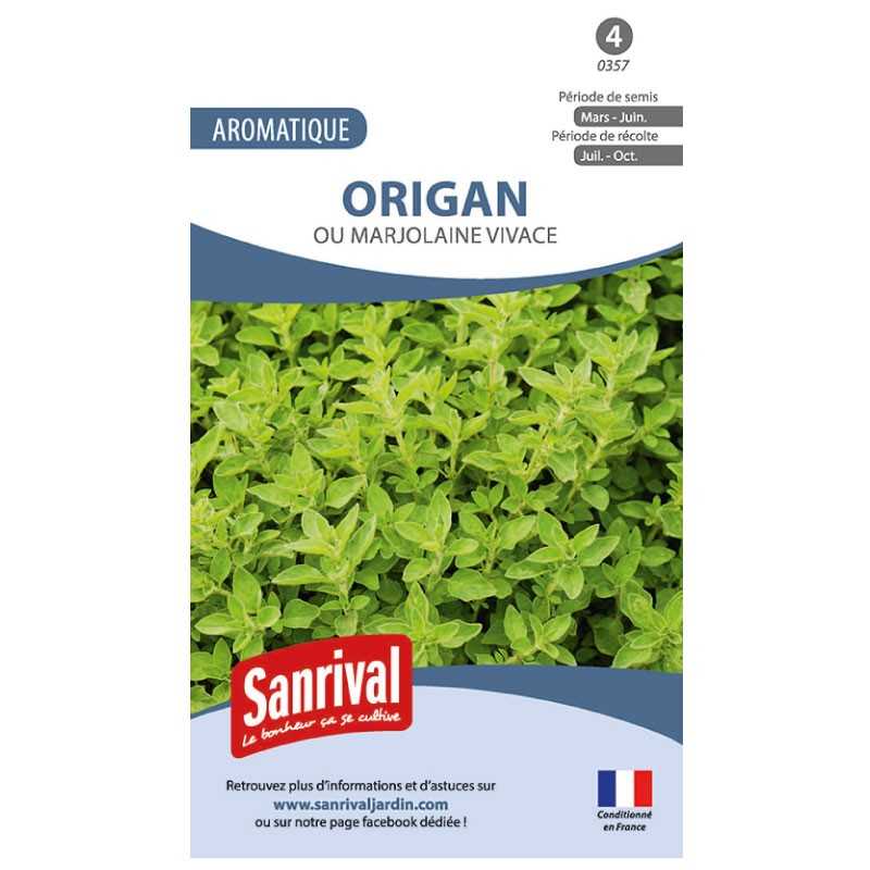 Graines d'Origan ou marjolaine vivace