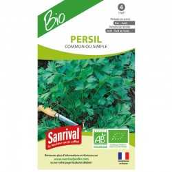 Graines de Persil Commun ou simple bio