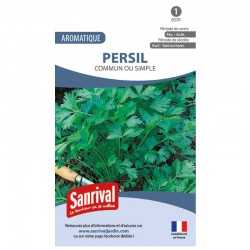 Graines de Persil commun ou simple