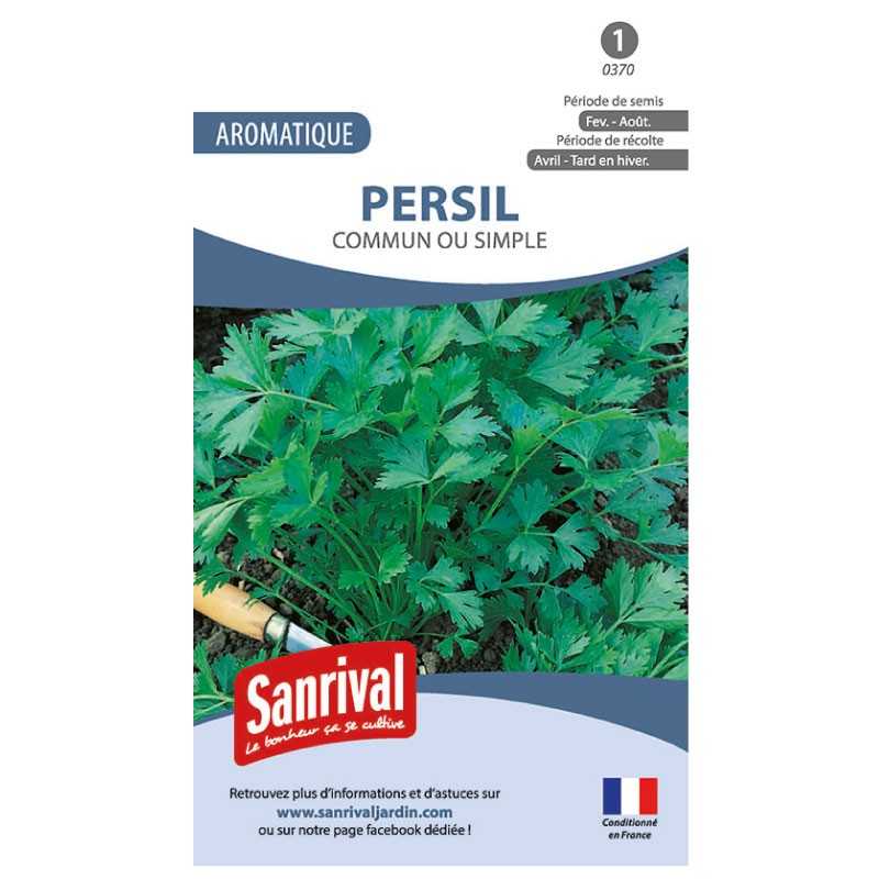 Graines de Persil commun ou simple