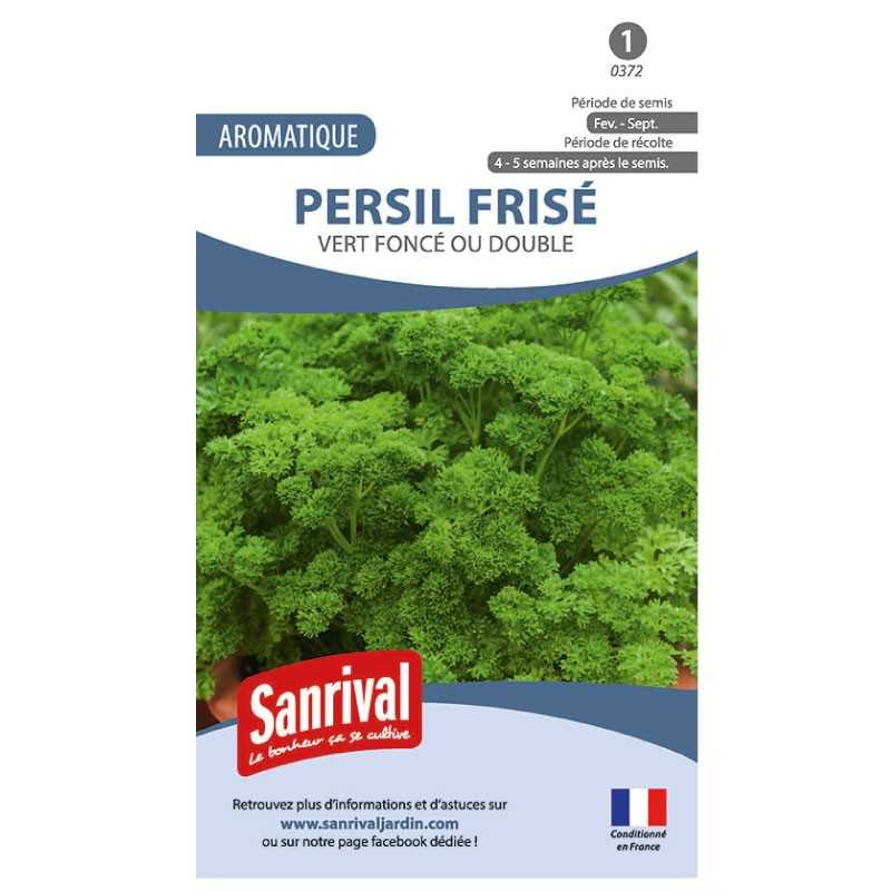 Graines de Persil frisé vert foncé ou double