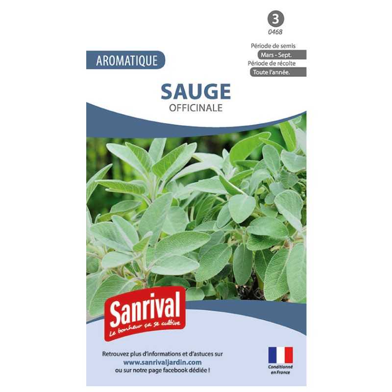 Graines de Sauge officinale