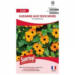 Suzanne aux yeux noirs...