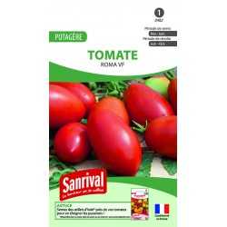 Graines de tomate Roma