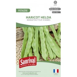 Graines de Haricot Helda plat mangetout à rames