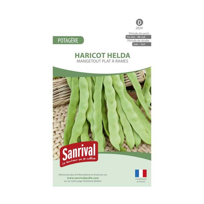 Graines de Haricot Helda plat mangetout à rames