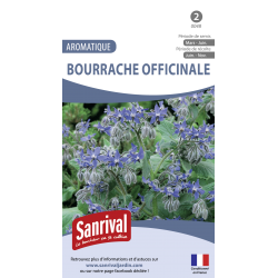 Graines de Bourrache officinale