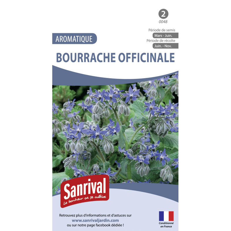 Graines de Bourrache officinale