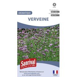 Graines de Verveine officinale