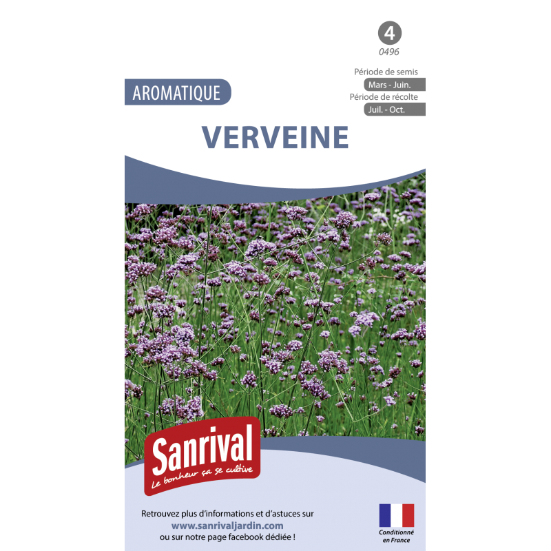 Graines de Verveine officinale