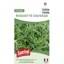 Roquette sauvage