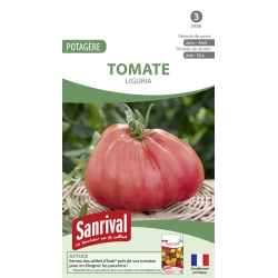 Graines de tomate liguria