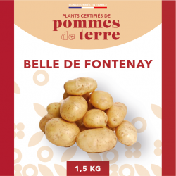 Belle de Fontenay 1,5 KG