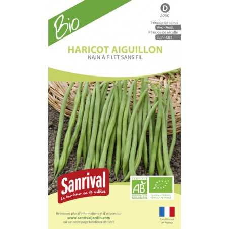 Graines biologiques de haricot Aiguillon nain à filet sans fil