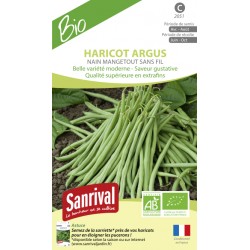 Graines de Haricot Argus nain mangetout sans fil bio