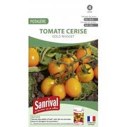 Graines de tomate cerise gold nugget