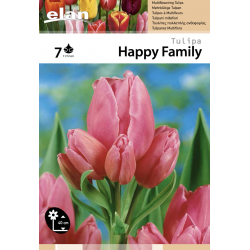 Tulipe Happy Family
