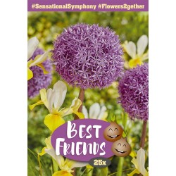 Best Friends Sensational Symphony