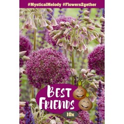 Best Friends Mystical Melody