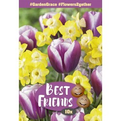 Best Friends Garden Grace