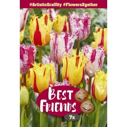 Best Friends Artistic Graffity