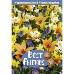 Best Friends Spectacular Crowd