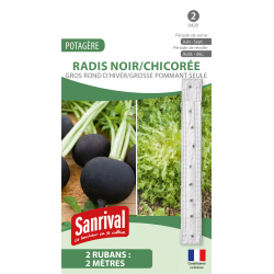 Duo Radis noir / Chicor&eacute;e &ndash; ruban de graines 2 x 2 m