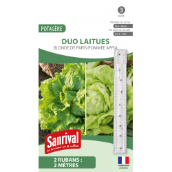Duo de laitues Blonde de...