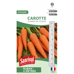 Carotte Flakk&eacute;e de Colmar &ndash; ruban de graines 4 m