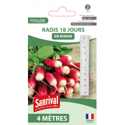 Radis 18 jours &ndash; ruban de graines 4 m